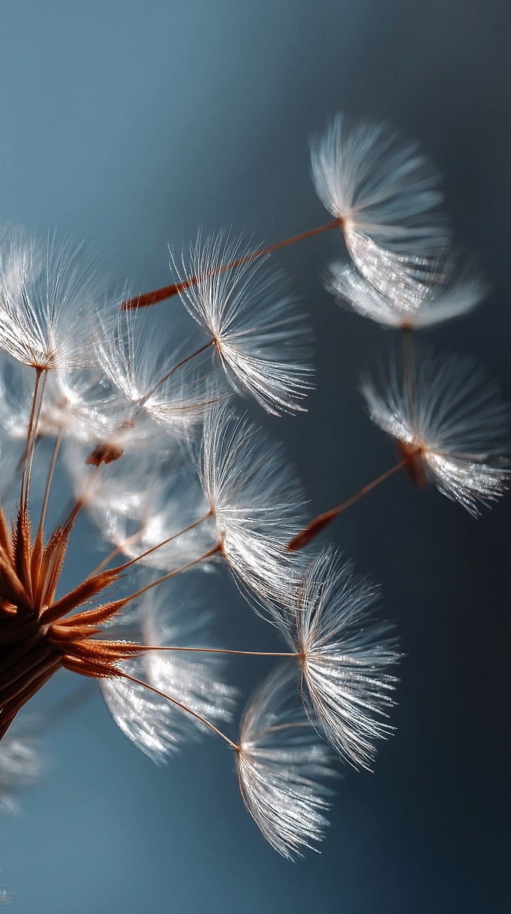 dandelion, seeds, macro, lightness, air, calm down, nature, minimalism, delicate, gentle, blue background, liberty, poetic, peaceful, natural detail, ephemeral beauty, balance, serenity, wild flower, ethereal atmosphere, generated by ai